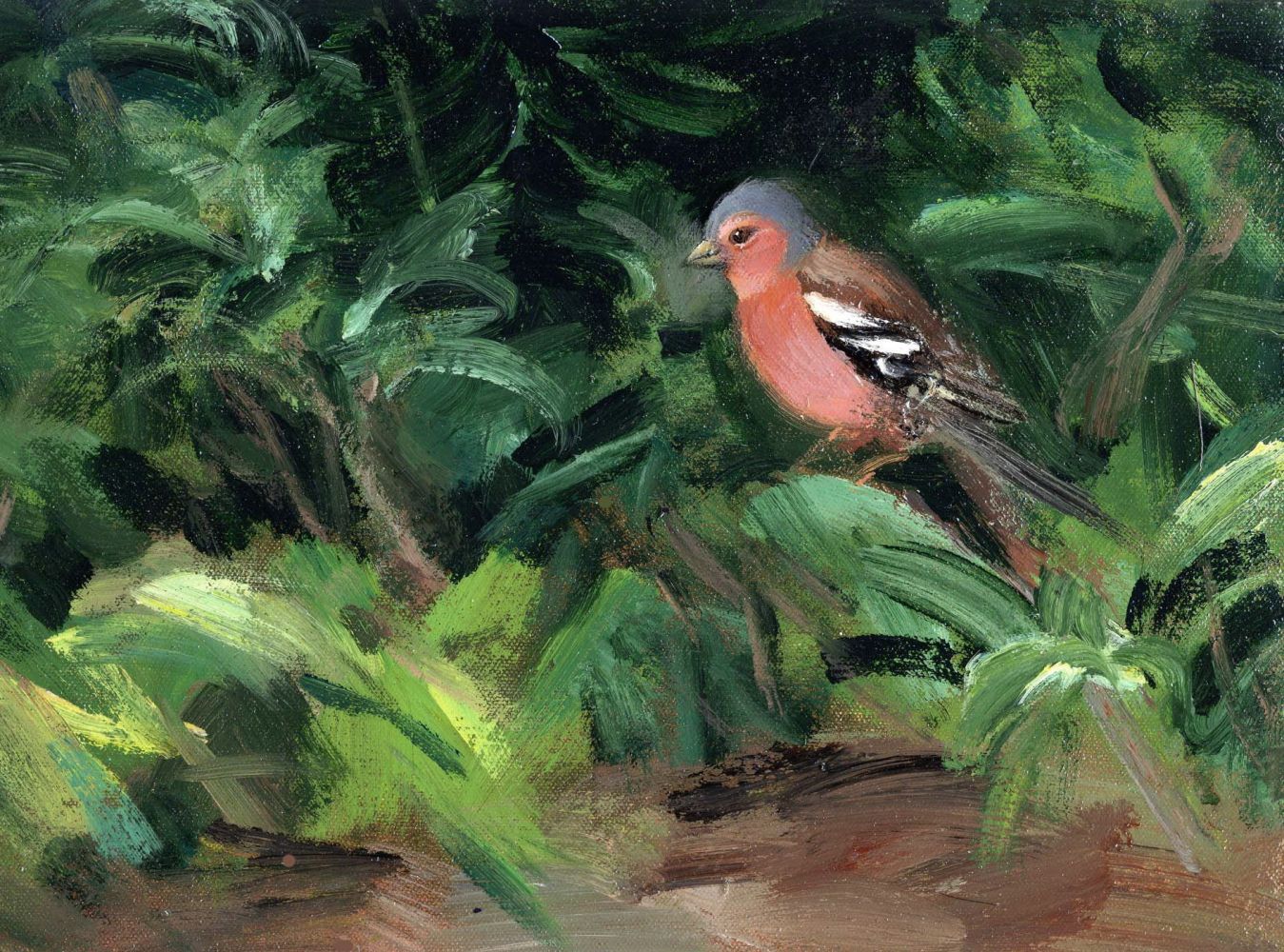 CHAFFINCH by Bob Haberfield 2003