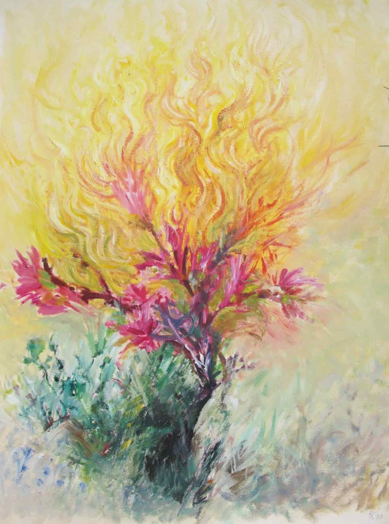 flamming-bush